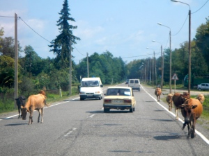 Typical highway traffic